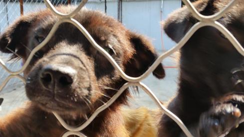 12000944_667947496673864_7184933177661356695_o