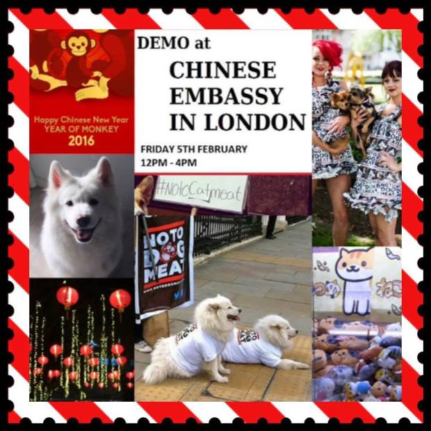 12648114_10207512934594594_117844271_n