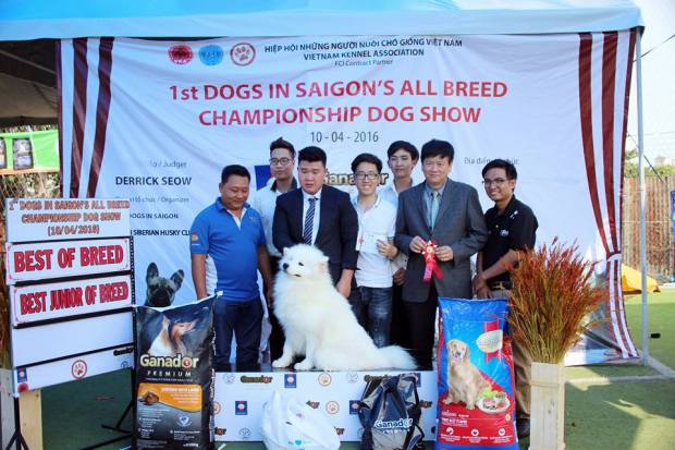 13000278_637321989749418_2177995631902734266_n